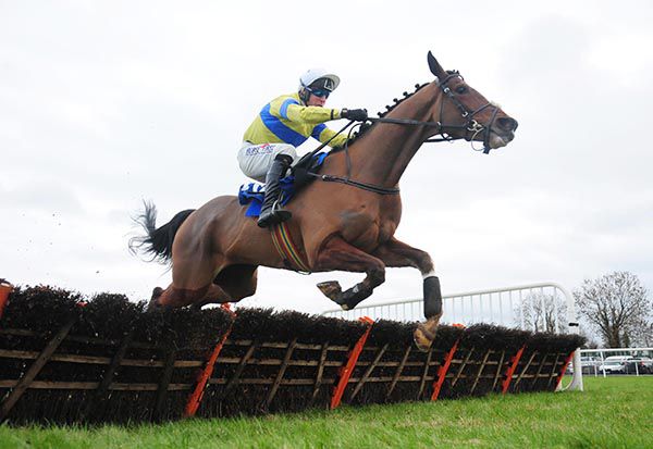 Polished Steel and Robbie Power