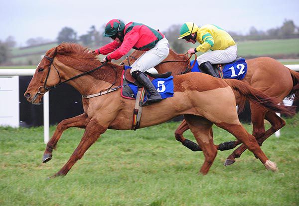 Cher Why Not (Ryan Treacy) beats Lagenod (Philip Enright)
