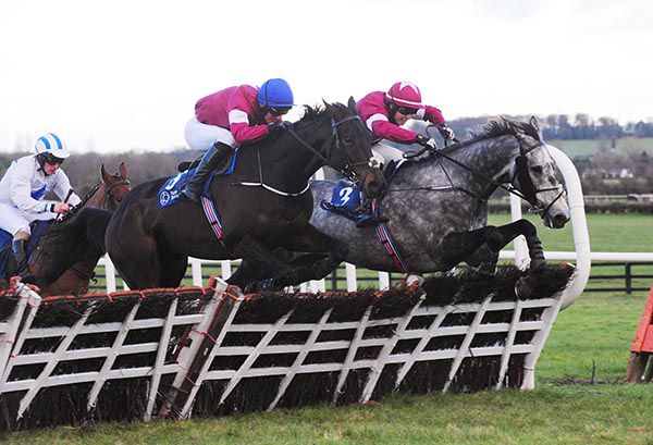 Eviscerating (Evan Daly) jumps with Commandant (eventual 3rd) and Coral Blue (eventual 2nd) in behind