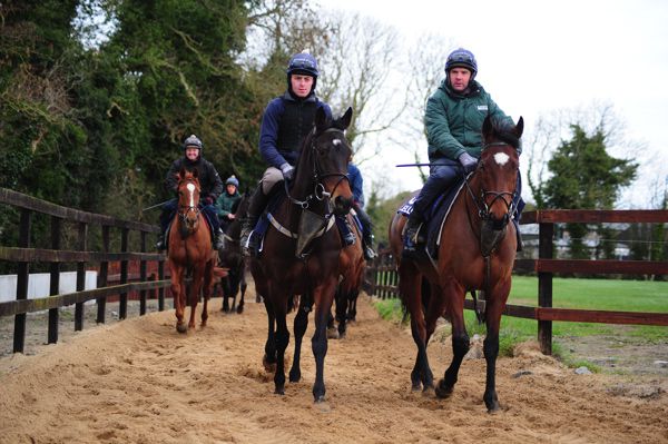 Tiger Roll (right) 