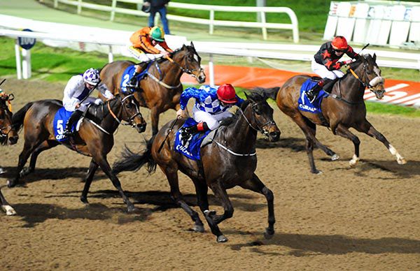 Yarraman (red cap, blue/white jacket) leads