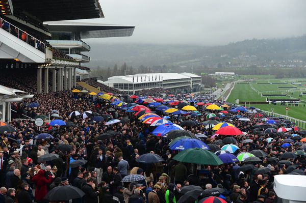 A scene from the Cheltenham Festival last year