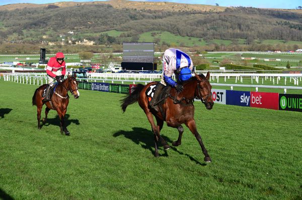 Roksana leads home her rivals at Cheltenham earlier this month