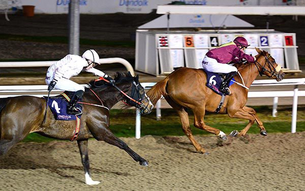 Miss Snossyboots (Ross Coakley) beats Itsalonglongroad (Shane Crosse)