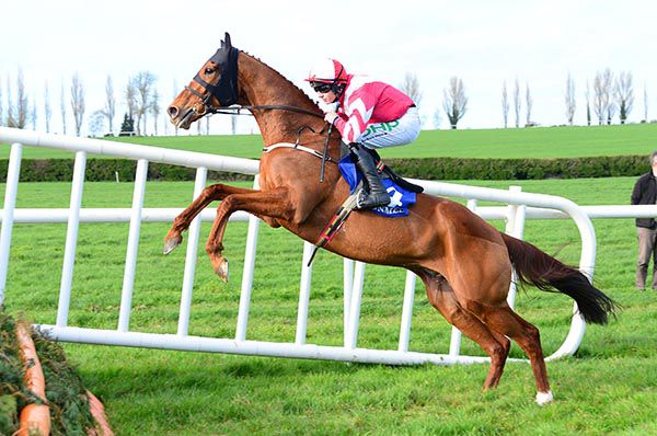 Acapella Bourgeois produces a fine leap