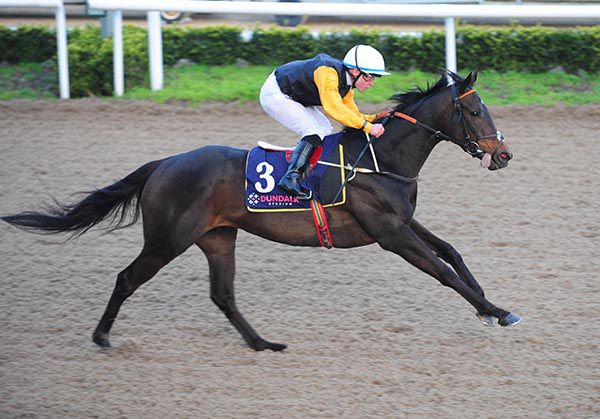 Paved Paradise and Mark Gallagher