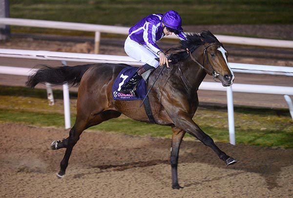 National Guard and Donnacha O'Brien