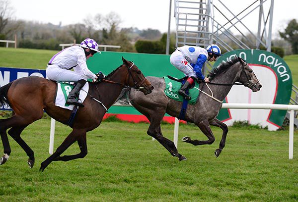 The grey Bobby Boy pictured on his way to victory at Navan in March
