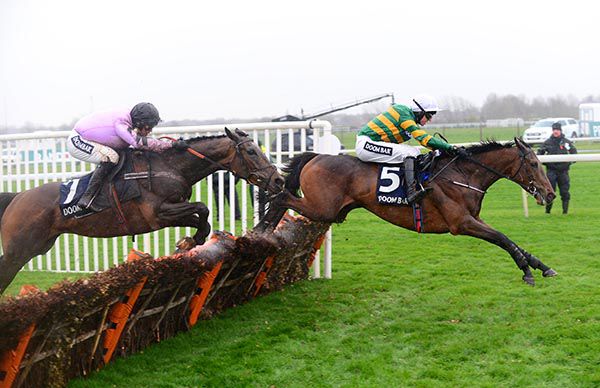 Pentland Hills chases Fakir D'oudairies