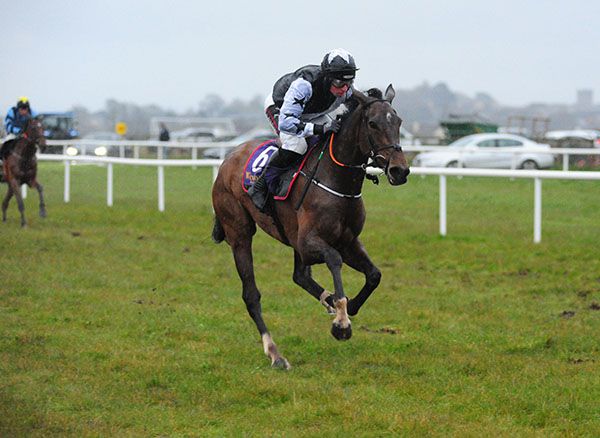 Mount Ida comes home an easy winner under Jamie Codd