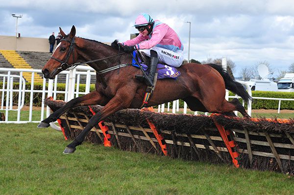 Pont Aven bids for another Wexford success today