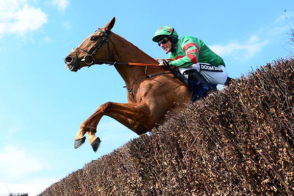 Ornua and Davy Russell