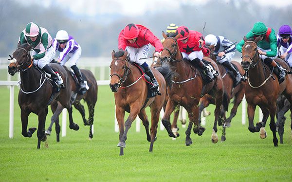 Lady Wannabe (red) leads home her rivals under Chris Hayes