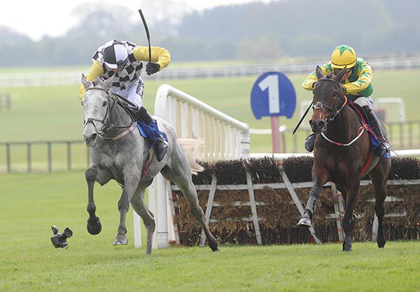 Great White Shark (left) and Rhythm Divine battle it out from the last
