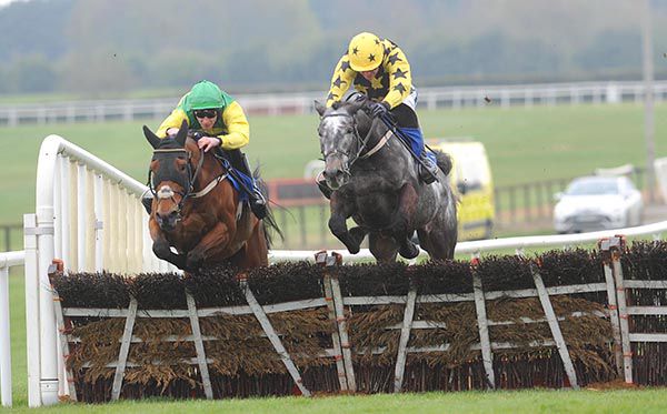 Mister Blue Sky (right) and Cash Back jump the last together 