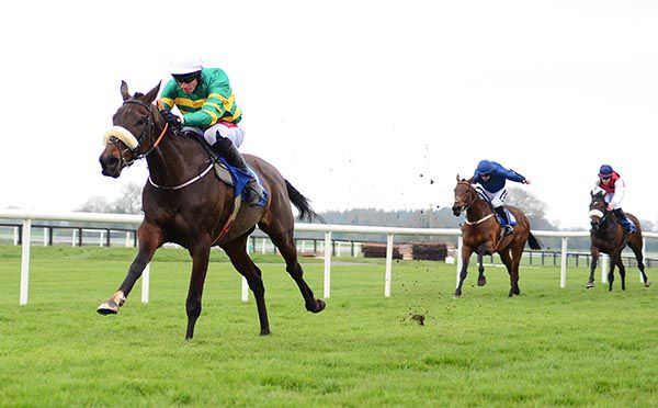 Gypsy Island powers clear under Derek O'Connor