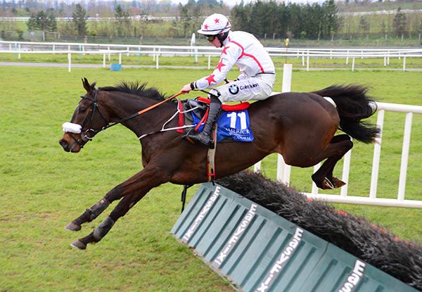 Shanroe Al C and Donagh Meyler