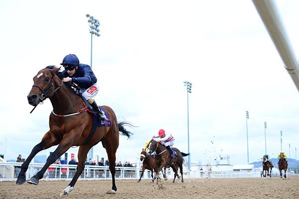 Empire Line wins under Andrew Slattery