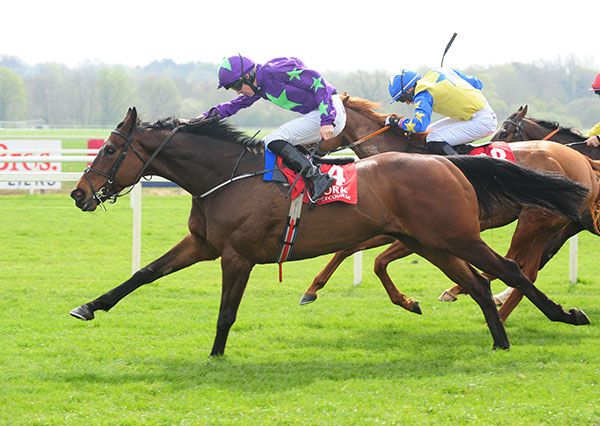 Marshall Jennings (Tom Madden) gets home in front from Annie Fior (Adam Farragher)