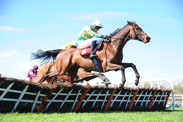 Crossed My Mind in front over the last in Cork