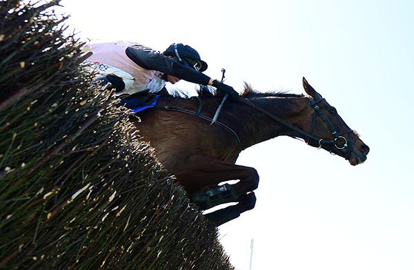 Impact Factor (Robbie Power) clearing the last