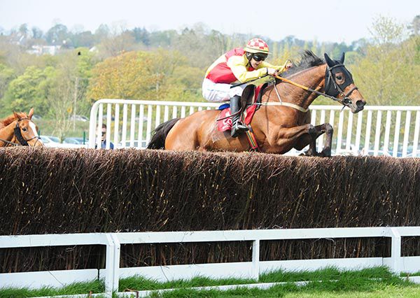 Littlestickarubarb jumps the last under Ian McCarthy 