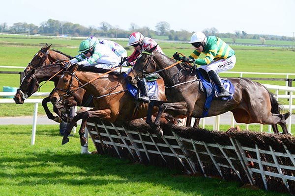 Maeve's Choice (white & green) with Miles To Memphis (2nd right), Spades Are Trumps (nearest) & Fred The Foot (far side)