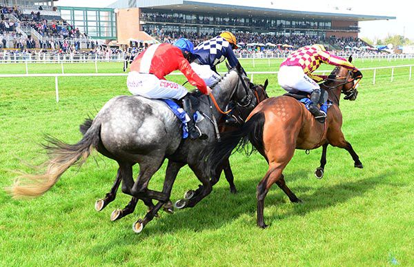 La Tektor, inner, finds most in Fairyhouse