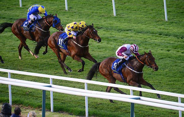 Invincible Queen leads home her rivals under Ronan Whelan