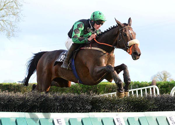 Call Of The Loon and David Mullins