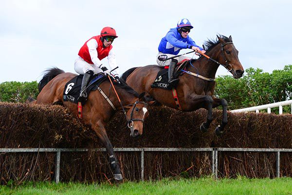 Payngo (left) about to crash out under Tommy Brett as Gracemount goes on for the win under Harley Dunne