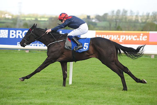 Geneticist clear in Limerick