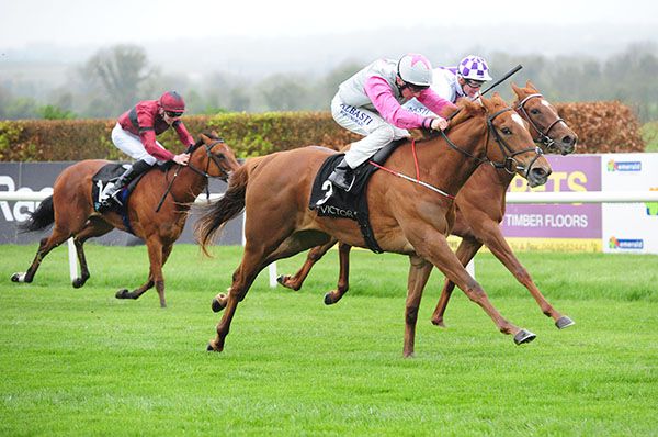 Back To Brussels wins under Chris Hayes