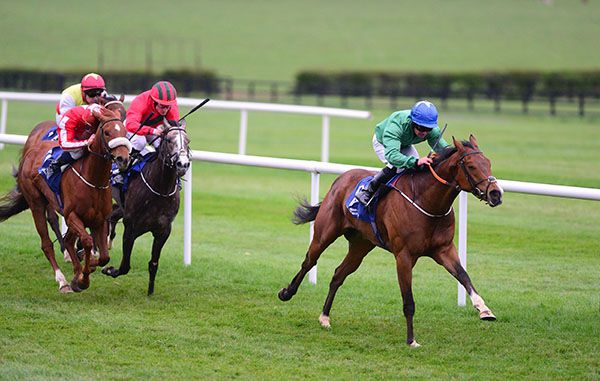 Taceec leads home his rivals under Rory Cleary