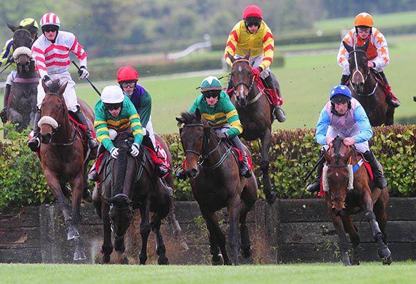 Youcannotbeserious (white cap) nods on landing as Blue Templar races alongside (centre, green/gold)