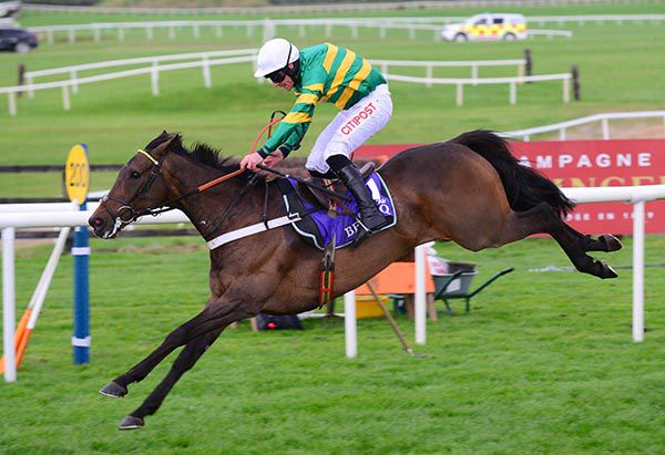 Buveur D’Air finished second at Haydock