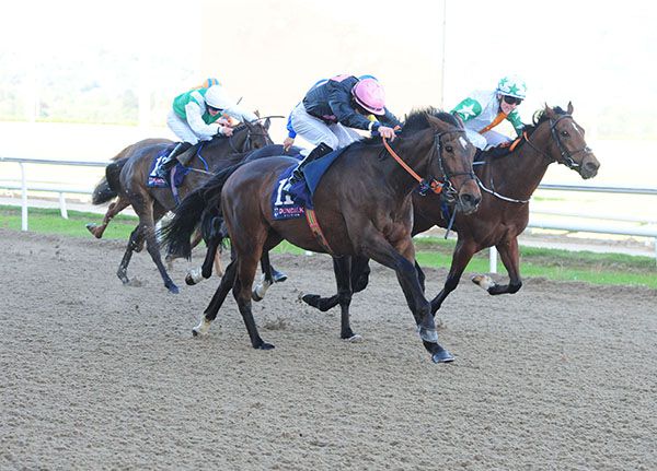 Shake The Bucket is pushed out by Nathan Crosse