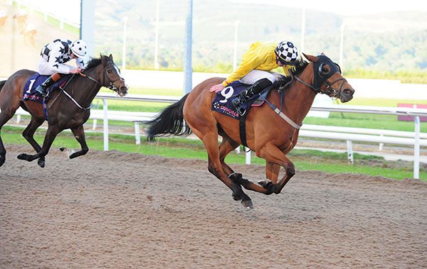 The Perch is ridden out by Adam Farragher