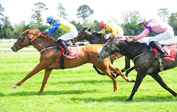 Adam Farragher guides Annie Fior home