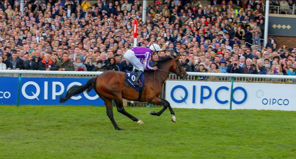 Guineas winner Magna Grecia