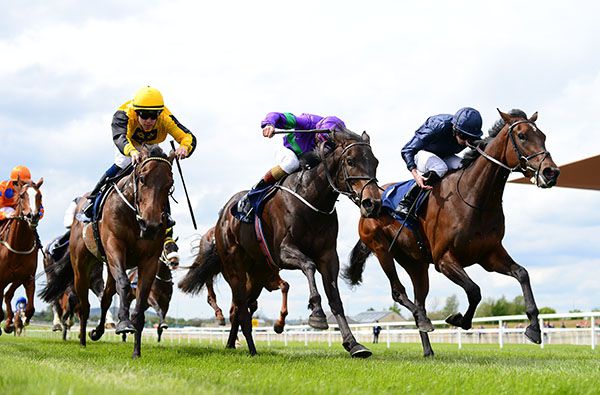 Dan's Dream (centre) found Happen (right) just a bit too good at the Curragh last month