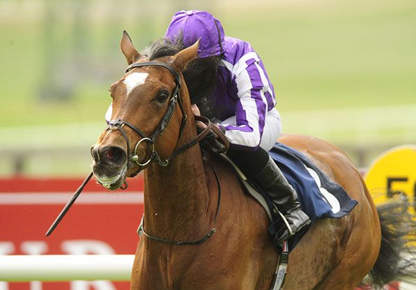 Magical & Ryan Moore