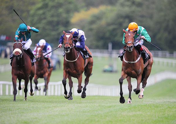 TRUE SELF and Colin Keane(right) winning the Listed Vintage Tipple Stakes at Gowran Park in May. Healy Racing Photo