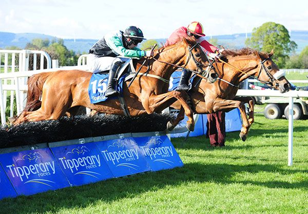 Madaboy Cross (nearest) jumps the last alongside Chestnut Brave