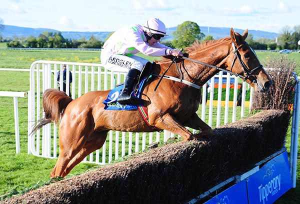 Brahma Bull and Brian Hayes pictured on their way to victory
