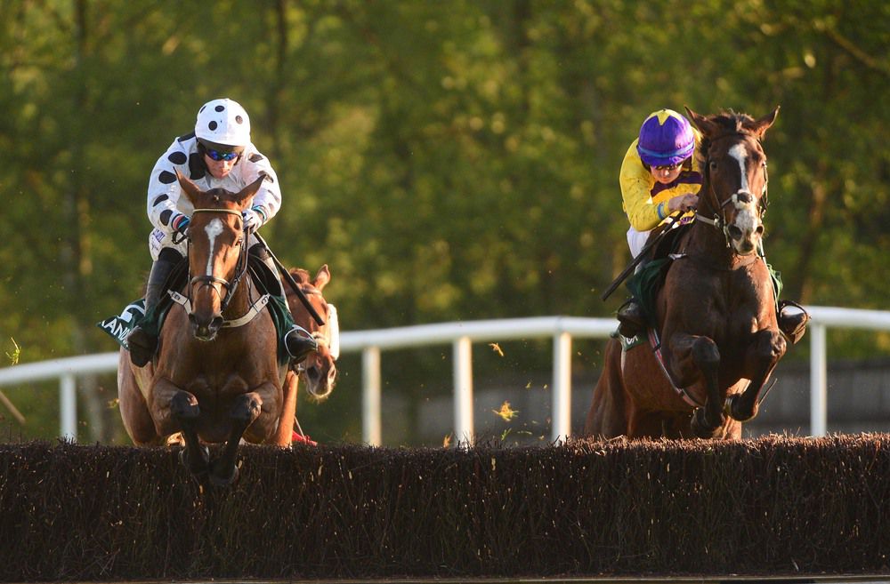 Well Joey, left, jumps the last in front 