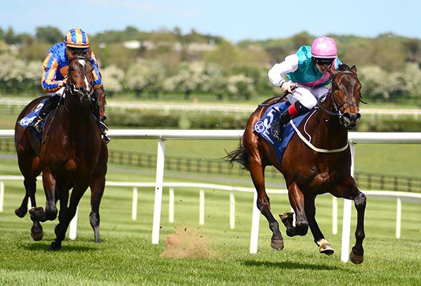 Siskin and Harpocrates renew rivalry in Friday's feature event at the Curragh, the Listed Marble Hill Stakes