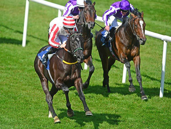 Dadoozart and Colin Keane 