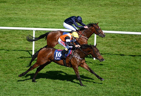 Woody Creek, near side, catches Empire Line