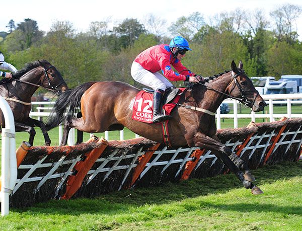 All The Way West negotiates the last